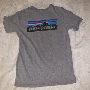 *Like New* Patagonia P6 Tee In Grey